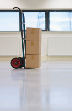 movimentazione e servizi